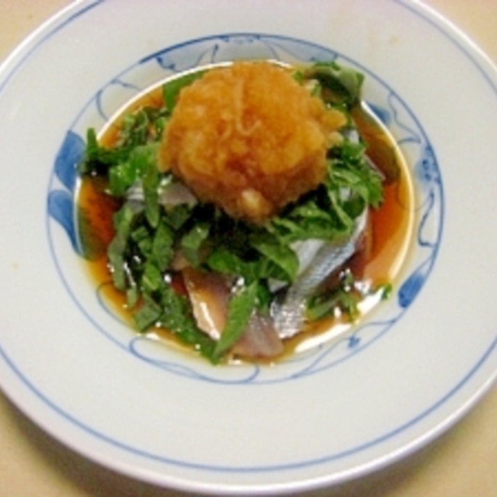 小いわしの刺身 おろししょうが醤油 レシピ 作り方 By 08orange 楽天レシピ 小いわしの刺身 おろししょうが醤油 レシピ 作り方 By 08orange 楽天レシピ